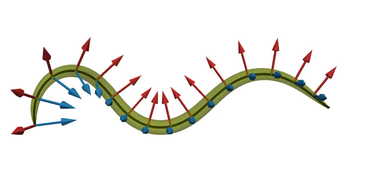 A new mathematical model of the worm in 3D which can bend and twist. Image from [Ranner (2020)](/publication/ranner-2020)