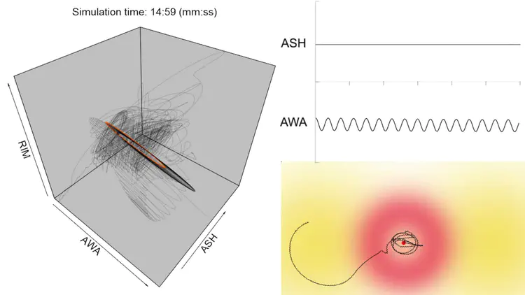 Learning and adaptation during foraging behaviours. Image from [Cohen et al. (2014)](/publication/cohen-2014)