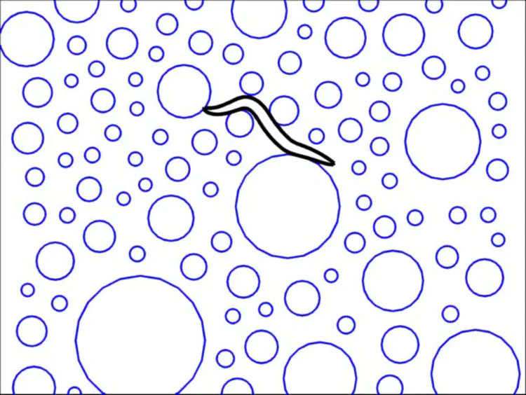 Tracking and modelling locomotion in 2D. Image from [Boyle et al. (2012)](/publication/boyle-2012)